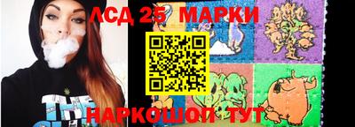 Альфа ПВП Гатчина