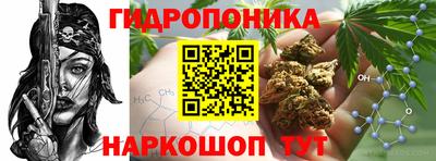 Альфа ПВП Гатчина