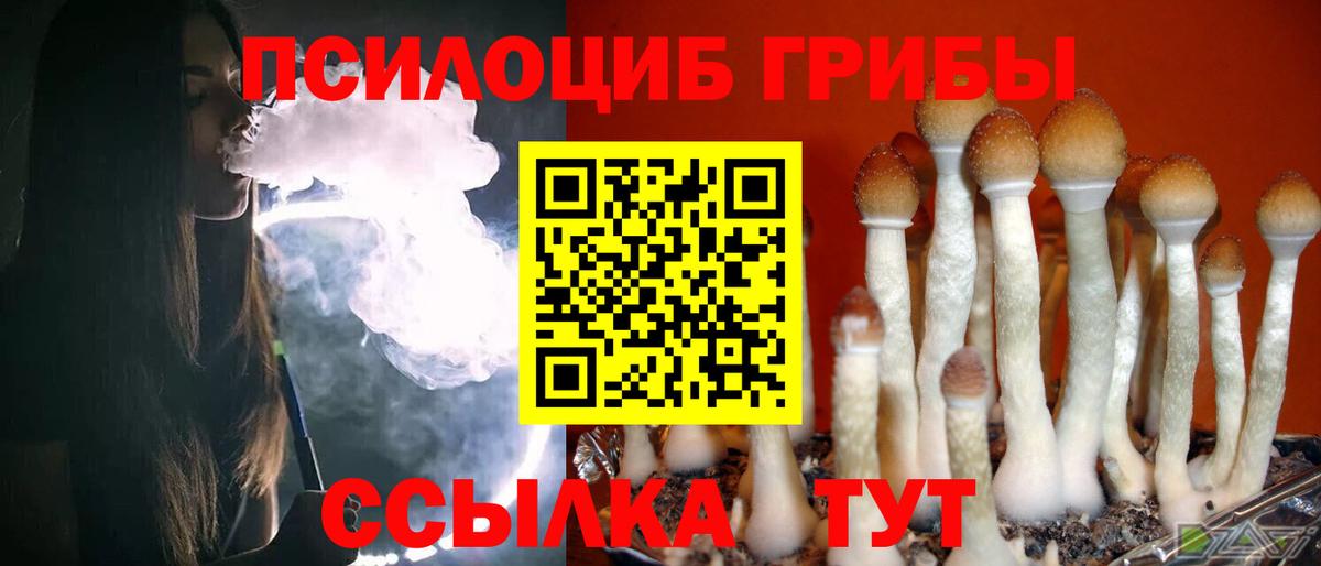 Сергиев Посад  Псилоцибиновые грибы прущие грибы  Вход с VPN 